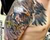 Adler Schnitzen Vorlagen Neu 20 Wunderschöne Weißkopfseeadler Tattoos