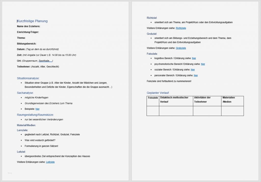 Angebotsplanung Erzieher Vorlage Bewundernswert ...
