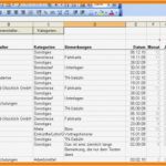 Arbeitsstunden Erfassen Excel Vorlage Elegant 9 Einnahmen Ausgaben Excel