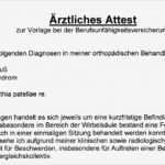 ärztliches attest Schule Vorlage Beste Ärztliche Stellungnahme Berufsunfähigkeitsversicherung