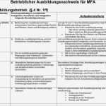 Ausbildungsnachweis Vorlage Pdf Erstaunlich Berichtsheft Mfa Hessen