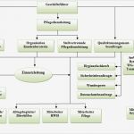 Beratungsgespräch Pflege Vorlage Schönste Pflege Nst In Hamburg organigramm