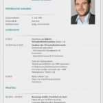 Bewerbung Und Lebenslauf Vorlage Word Cool Cv Vorlage Word Erstaunlich Cv Muster Vorlage Beispiel