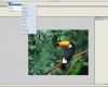 Briefmarke Vorlage Photoshop Beste Pixel Creation Suite Für Mac Download