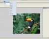 Briefmarke Vorlage Photoshop Bewundernswert Pixel Creation Suite Für Mac Download