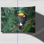 Briefmarke Vorlage Photoshop Genial Pixel Creation Suite Download