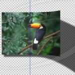 Briefmarke Vorlage Photoshop Hübsch Pixel Creation Suite Download