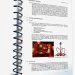 Businessplan Hotel Muster Vorlage Zum Download Erstaunlich Businessplan Shisha Bar