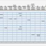 Cash Flow Vorlage Excel Angenehm Cash Flow Spreadsheet Template Excel