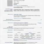 Cv Englisch Vorlage Word Angenehm Cv Resume Resume Cv Deutsch