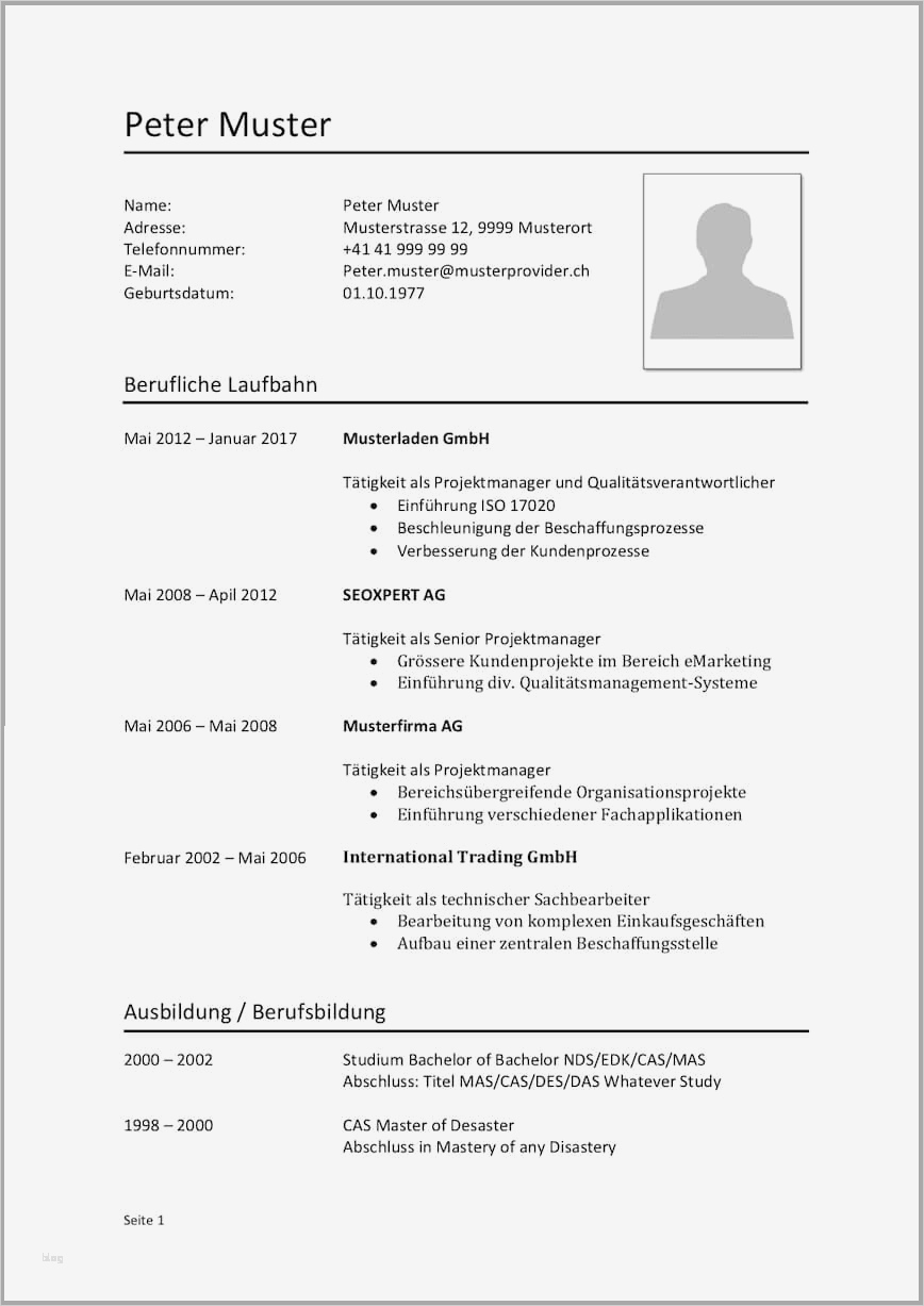 Cv Englisch Vorlage Word Genial Lebenslauf Vorlagen & Muster Kostenlose