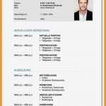 Cv Englisch Vorlage Word Luxus 11 Curriculum Vitae Vorlage Word