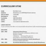 Cv Englisch Vorlage Word Wunderbar 13 Englischer Cv Muster