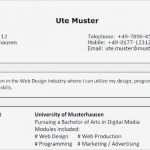 Cv English Vorlage Erstaunlich Lebenslauf Auf Englisch Inkl Muster