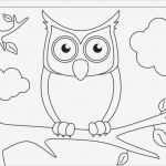 Daumenkino Basteln Vorlage Hübsch Dessin Hibou à Imprimer Et Bricolage Chouette Pour Enfants