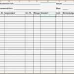 Einfaches Kassenbuch Vorlage Großartig 10 Einfache Buchhaltung Excel Vorlage Vorlagen123