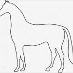 Einhorn Pinata Vorlage Cool Horse Outline