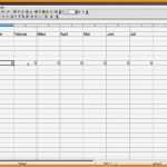 Einnahmen Ausgaben Vorlage Wunderbar 8 Einnahmen Ausgaben Vorlage Zum Ausdrucken