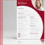 Englisch Bewerbung Vorlage Wunderbar Bewerbung Auf Englisch Mit Cover Letter Und Cv Zum Download