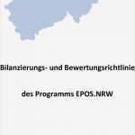 Eröffnungsbilanz Vorlage Pdf Einzigartig Bilanzierungs Und Bewertungsrichtlinie Des Programms