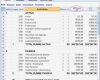 Eröffnungsbilanz Vorlage Pdf Wunderbar Eröffnungssaldi