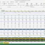 Excel Reporting Vorlage Cool Tutorial Excel Vorlage Liquiditätsplanung Einführung