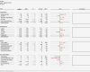 Excel Reporting Vorlage Erstaunlich Excel Vorlage Für Personal Report Kennzahlen Analysieren