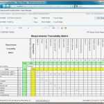Excel Reporting Vorlage Wunderbar Requirements Template Excel 5 Report Requirements Template