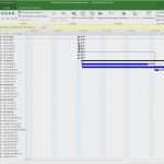 Excel Vorlage Cd Sammlung Erstaunlich Erfreut Microsoft Projektplan Vorlage Galerie Entry