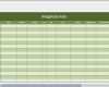 Excel Vorlagen Kostenlos Produktionsplanung Wunderbar Ungewöhnlich Inventar Tabellenvorlage Ideen Entry Level