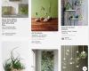 Familien Baumstamm Vorlage Cool How to Display Plants Indoor