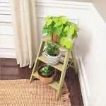 Familien Baumstamm Vorlage Neu How to Display Plants Indoor