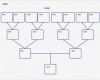 Family Tree Vorlage Beste 34 Family Tree Templates Pdf Doc Excel Psd