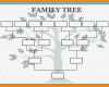 Family Tree Vorlage Einzigartig Best 25 Family Tree Templates Ideas On Pinterest