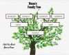 Family Tree Vorlage Erstaunlich 3 Generation Family Tree Generator