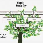 Family Tree Vorlage Erstaunlich 3 Generation Family Tree Generator