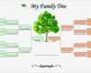 Family Tree Vorlage Erstaunlich Family Trees format