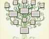 Family Tree Vorlage Inspiration Family Tree with Frames Vector Illustration Parents