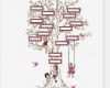 Family Tree Vorlage Inspiration Kinder Wand Kunstdruck Stammbaum Pink 11 X 14 Kinder