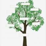 Family Tree Vorlage Wunderbar Tree Outline Printable