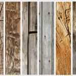 Flyer Hintergrund Vorlagen Bewundernswert Kostenlose Holz Texturen Psd Tutorial Für Shop