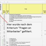 Fsc Handbuch Vorlage Beste Ungewöhnlich Es Audit Vorlage Zeitgenössisch