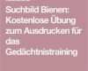 Gedächtnistraining Senioren Vorlagen Wunderbar Die Besten 25 Rätsel Zum Ausdrucken Ideen Auf Pinterest