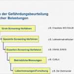 Gefährdungsbeurteilung Psychische Belastung Vorlage Einzigartig ifa Ergonomie Gefährdungsbeurteilung Physischer Belastungen