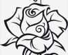 Gläser Bemalen Vorlagen Erstaunlich Wandtattoo Rose Ral Design Line Shop Für