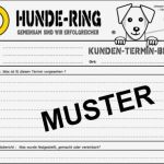 Gutschein Geschäftlich Vorlage Großartig Hundetrainer – Hunde Ring Berufe