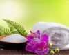 Gutschein Wellness Vorlage Best Of Wellness Massage Worms