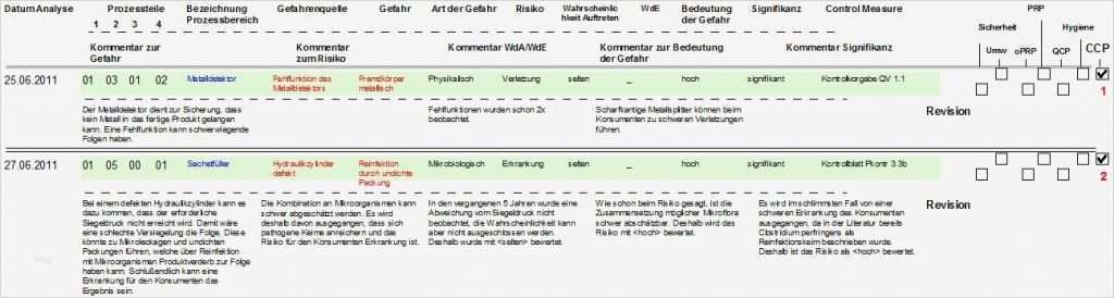 Haccp Entscheidungsbaum Vorlage Elegant Know Risk Muster ...