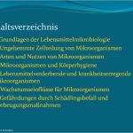 Haccp Schulung Vorlage Luxus Haccp Hygieneschulung Haccp Schulung Auf Cd Rom Vorlage