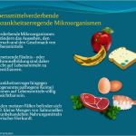 Haccp Schulung Vorlage Schön Haccp Hygieneschulung Haccp Schulung Auf Cd Rom Vorlage